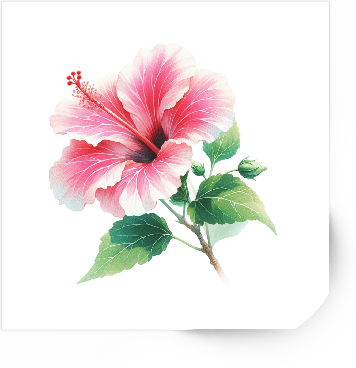 Pink Hibiscus Sticker | Watercolor Tropical Flower Vinyl Decal | Floral Nature Gift