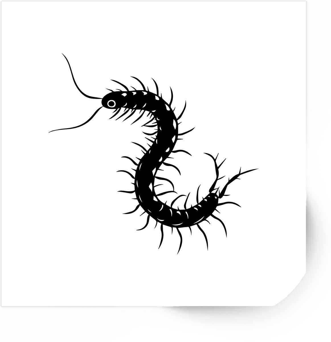 Black Centipede Sticker | Minimalist Inked Bug Vinyl Decal | Creepy Insect Lover Gift