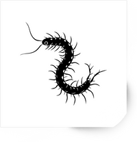 Thumbnail for Black Centipede Sticker | Minimalist Inked Bug Vinyl Decal | Creepy Insect Lover Gift
